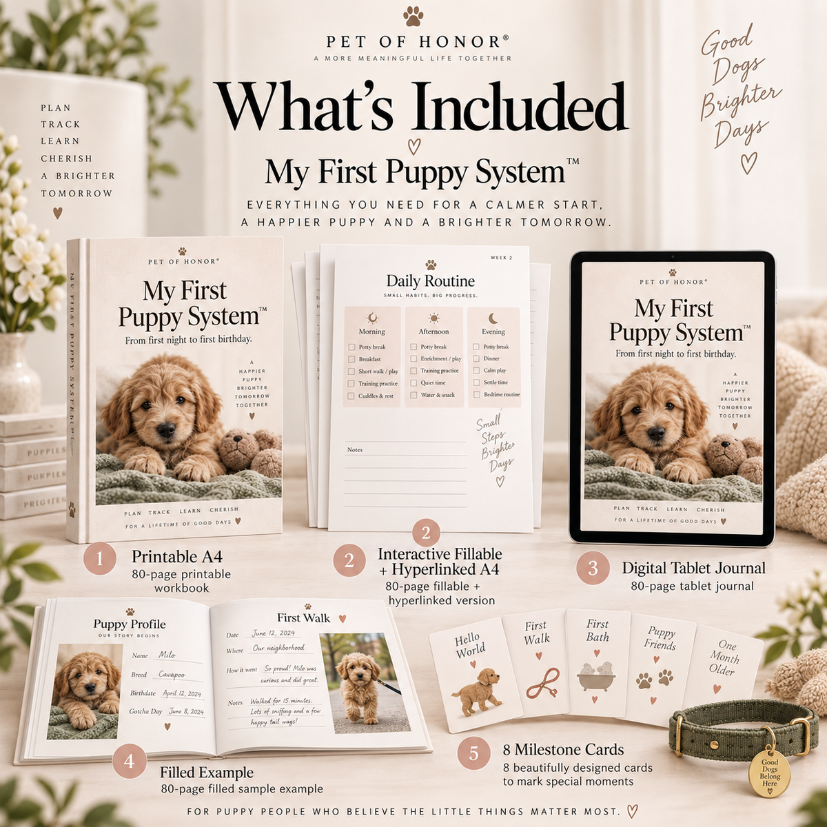 My First Puppy System™ — From First Night to First Birthday